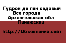 Гудрон де пин садовый - Все города  »    . Архангельская обл.,Пинежский 